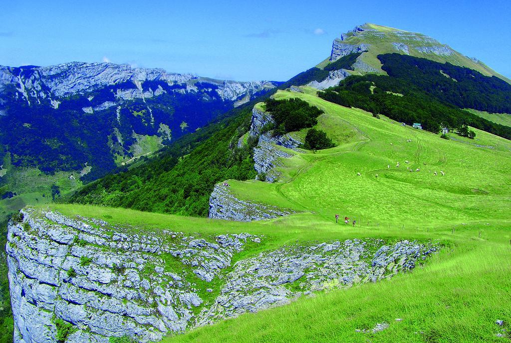 Roulottes Au Pied Du Vercors 생-장-앙-로양 외부 사진